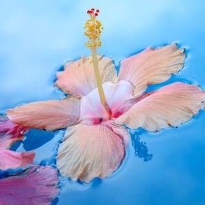 i'll try something new